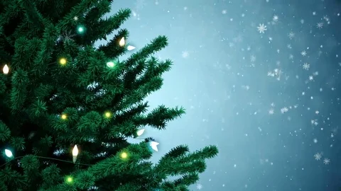 New Year tree Stock Footage 69246011