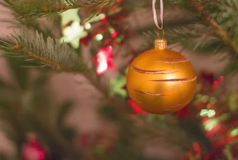 New Year tree, holiday. Stock Photos
