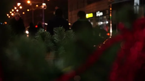 New Year Tree People Stock Footage 233997090
