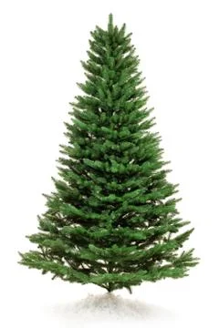 New year tree Stock Photos