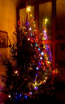 New Year tree Stock Photos