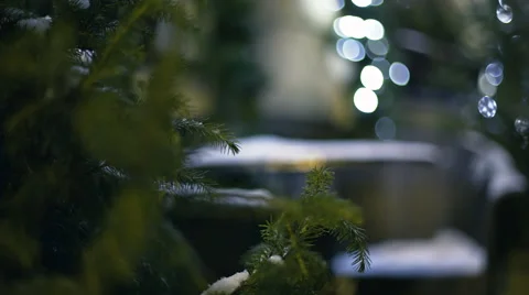 New year tree. Rack focus Stock Footage 61045645