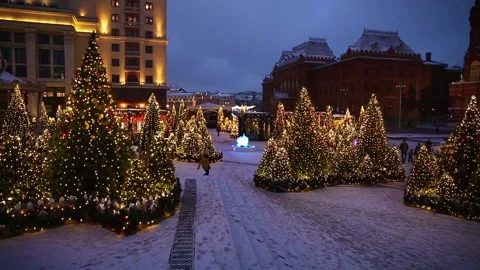 New year trees decorated on Manezh square in Moscow, Russia Stock Footage 98859161