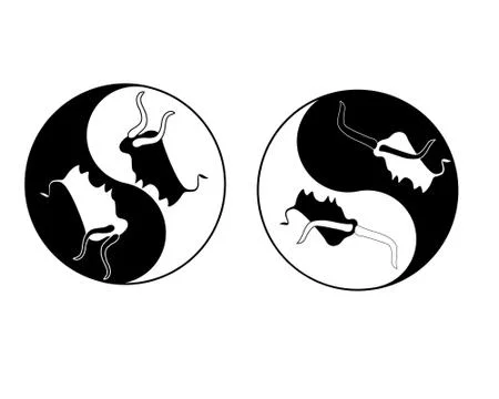 New year vector new year symbol 2 bulls in yin yang sign Stock Illustration