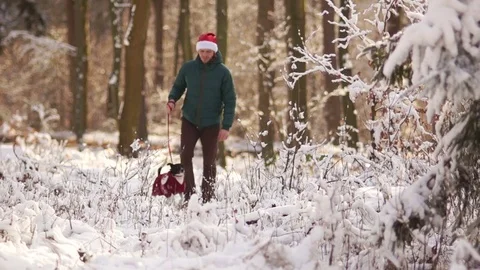 New Year walk through the winter park. a man in a santa hat walks his dog Stock Footage 84055929