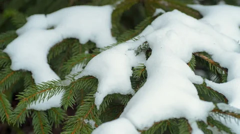 New Year,christmas,winter background Stock Footage 50281999