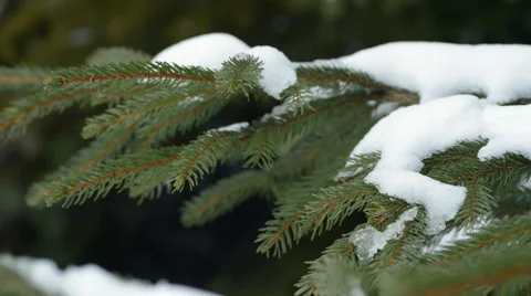 New Year,christmas,winter background Stock Footage 50282000