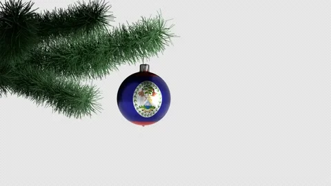 New Year's ball with the flag of Belize on a Christmas tree branch Stock Footage 165487161