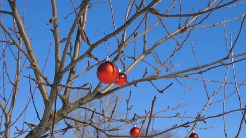 New Year's ball on the tree Stock Footage 88394961