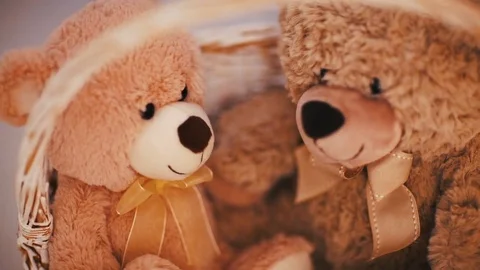 New Year's Bears 库存影片 83242765