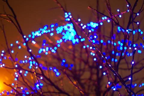 New Year's blurring a background with a tree 스톡 사진