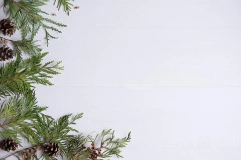 New Year's composition. Frame for text with Christmas tree and cones on a woo Stock Photos