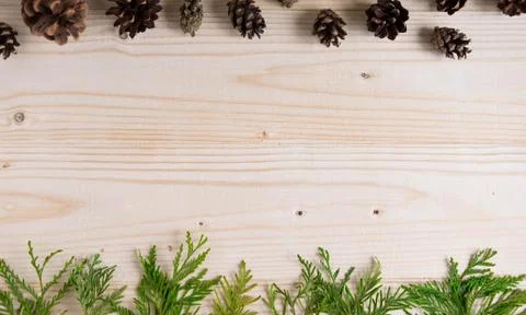 New Year's composition. Frame for text with Christmas tree and cones on a woo Stock Photos