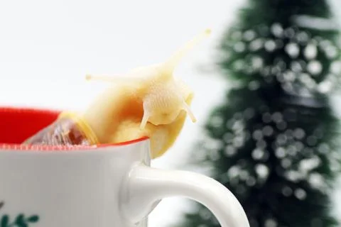 The New Year's composition snail is in a mug with a New Year's print Stock Photos