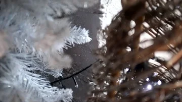 New Year's decor, close-up Stock Footage 85642749