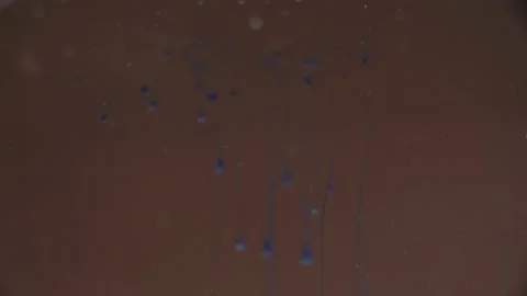 New Year's decor on the table Stock Footage 144634200