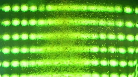 New Year's decor on the table Stock Footage 144634457