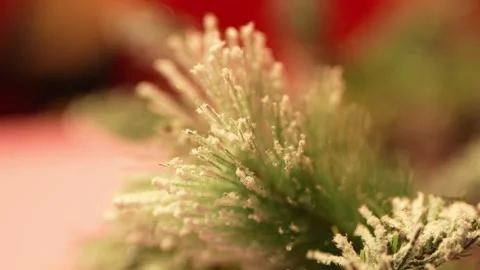 New Year's decorations on the Christmas tree Stock Footage 323456504