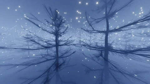 New Year's forest at dawn. The bare trees are shrouded in white lights. Seamless Stock Footage 143654884