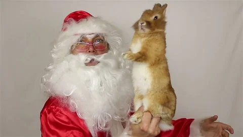 New Year's rabbit and Santa Claus make a show Stock-Footage 80375181