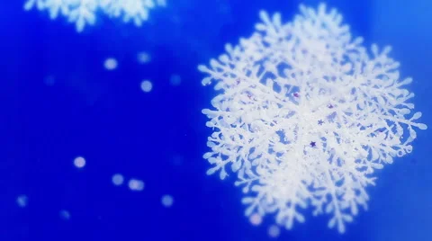 New Year's Snowflakes Stock Footage 57998306