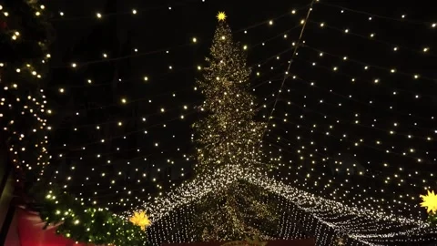 A New Year's tree and stage near the Cathedral in Cologne Stock Footage 256339247