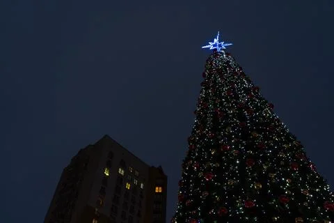 New Year's tree on the background of a multi-storey building Stock Photos