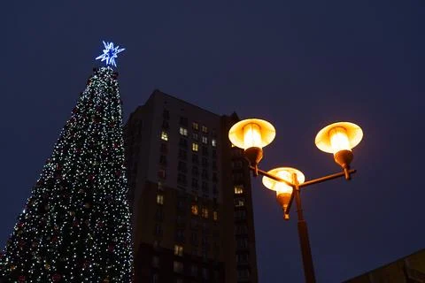 New Year's tree on the background of a multi-storey building and a street lam Stock Photos