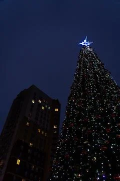 New Year's tree on the background of a multi-storey building Stock Photos