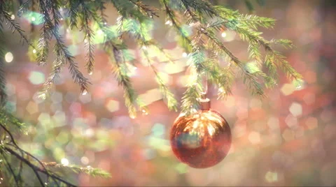 New Year's Tree Stock Footage 44024632