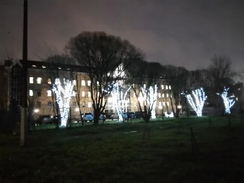 New Year's tree lighting Stock Photos