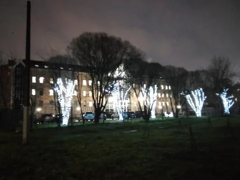 New Year's tree lighting Stock Photos