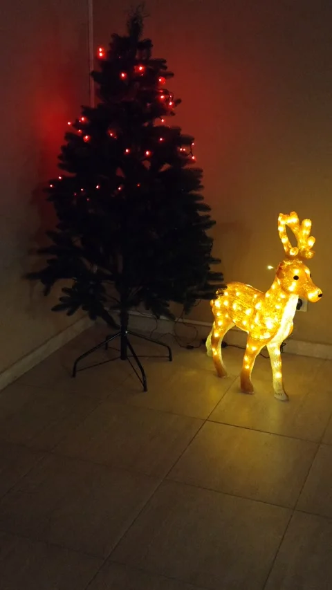 New Year's tree with lights in the twilight Stock Footage 322665358