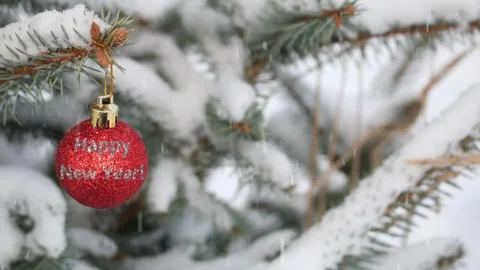 New Year's video Stock Footage 291550835