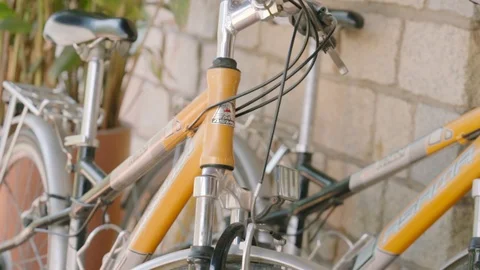 New Yellow Bicycles 動画素材 116371737