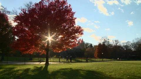 New York Central Park Fall 1 Stock Footage