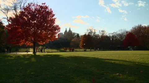 New York Central Park Fall 2 Stock Footage 939341