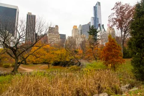 New York, Central Park Stock Photos