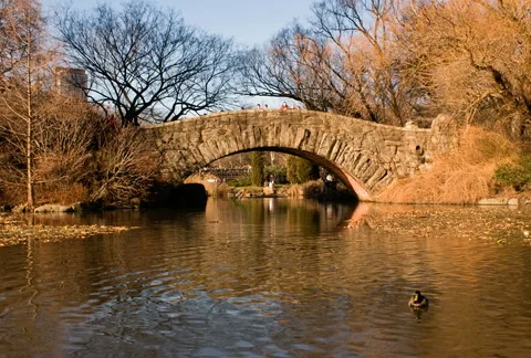 New York Central Park Time-Lapse Gapstow Bridge – NTSC Video stock 5519783