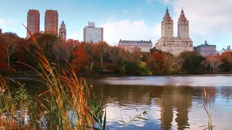 New York City Central Park in Autumn Stock Footage