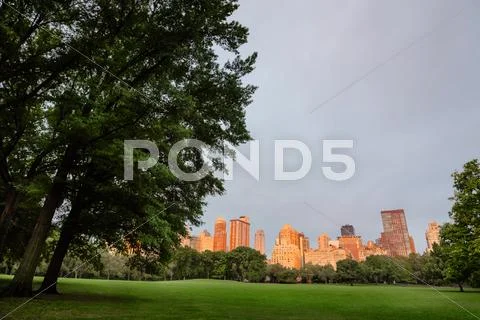 New York City Central Park Stock Photos