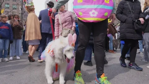 New York City Easter Parade and Bonnet Festival 2024 is opens on Fifth Avenue Stock-Footage 282413613