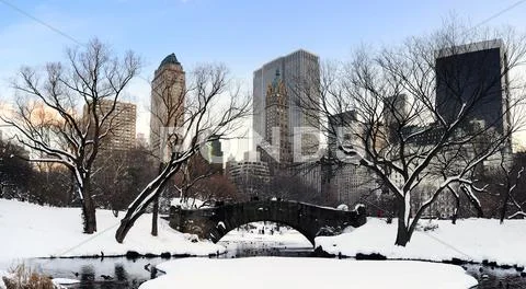 New york city manhattan central park panorama at dusk Stock Photos