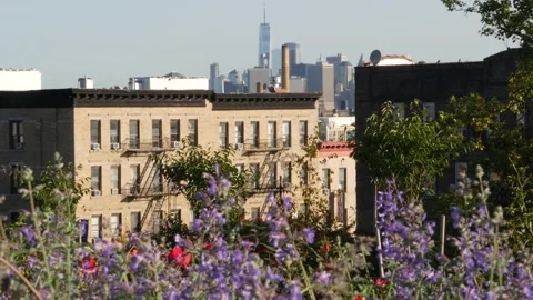 New York City Manhattan downtown skyline, Brooklyn Sunset Park, USA. World Trade 库存影片 336040053