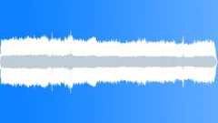 NEW YORK CITY, PARKSound Effect