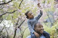 A New York City Park In The Spring. Sunshine And Cherry Blossom. A Father Giv Stock Photos