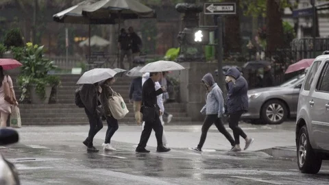 New York City People Crossing Street Traffic in Rain Stock Footage
