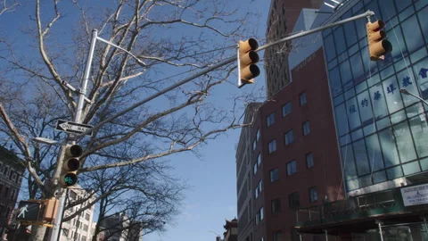 New York City stoplight on a spring day Stock Footage 331679625
