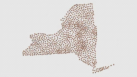 New York Coffee Beans Stock Footage 147836225