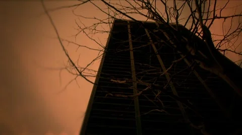 New York-Creepy Tree-building Stock Footage 1047183